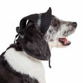 Pet Life Uv Protecting Adjustable Dog Hat