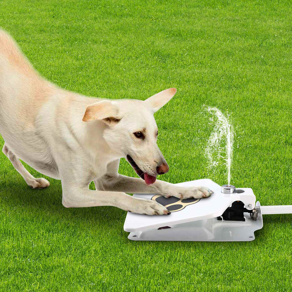 Outdoor Dog Water Sprinkler with Paw Control