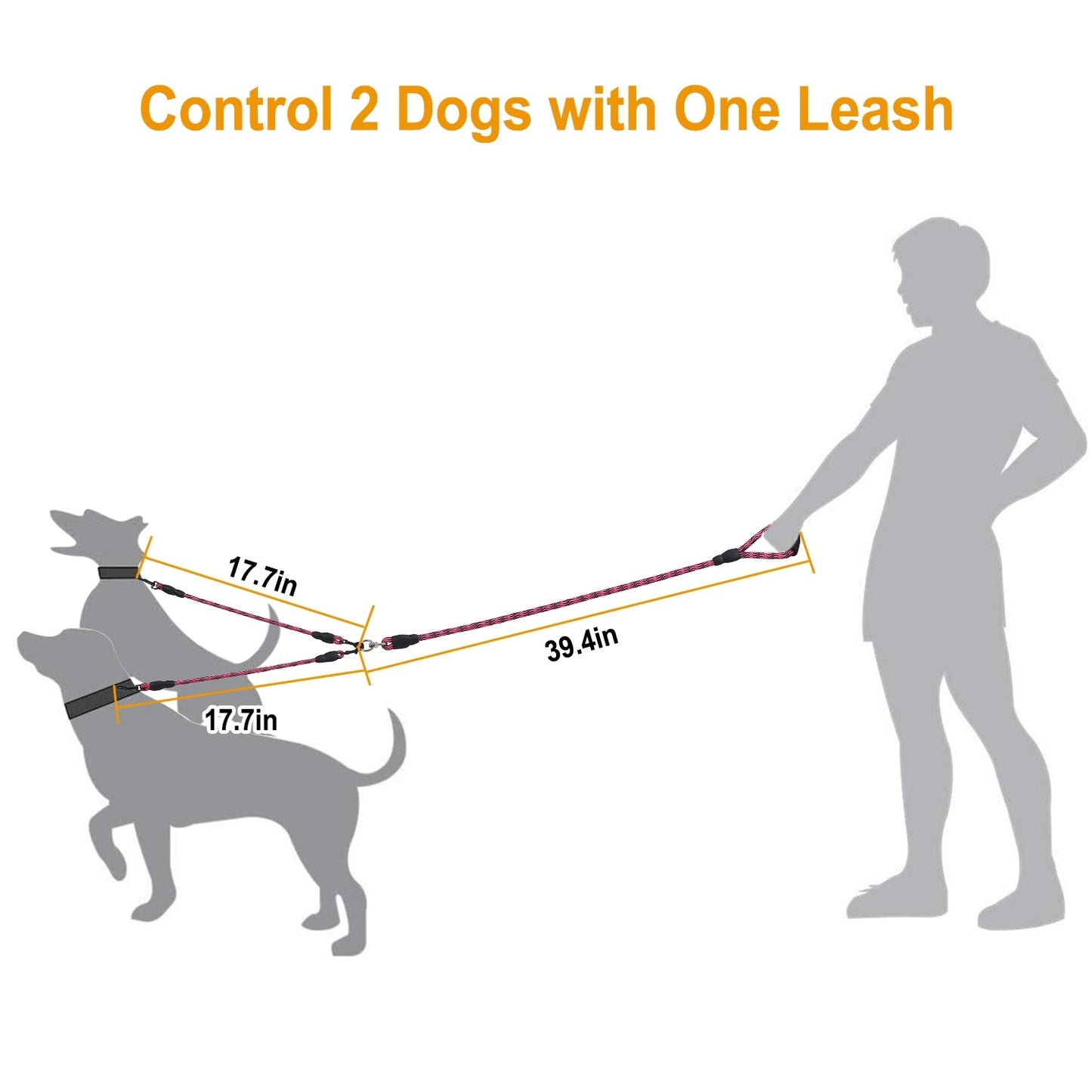 Double Dog Reflective Leash and Lead Combo