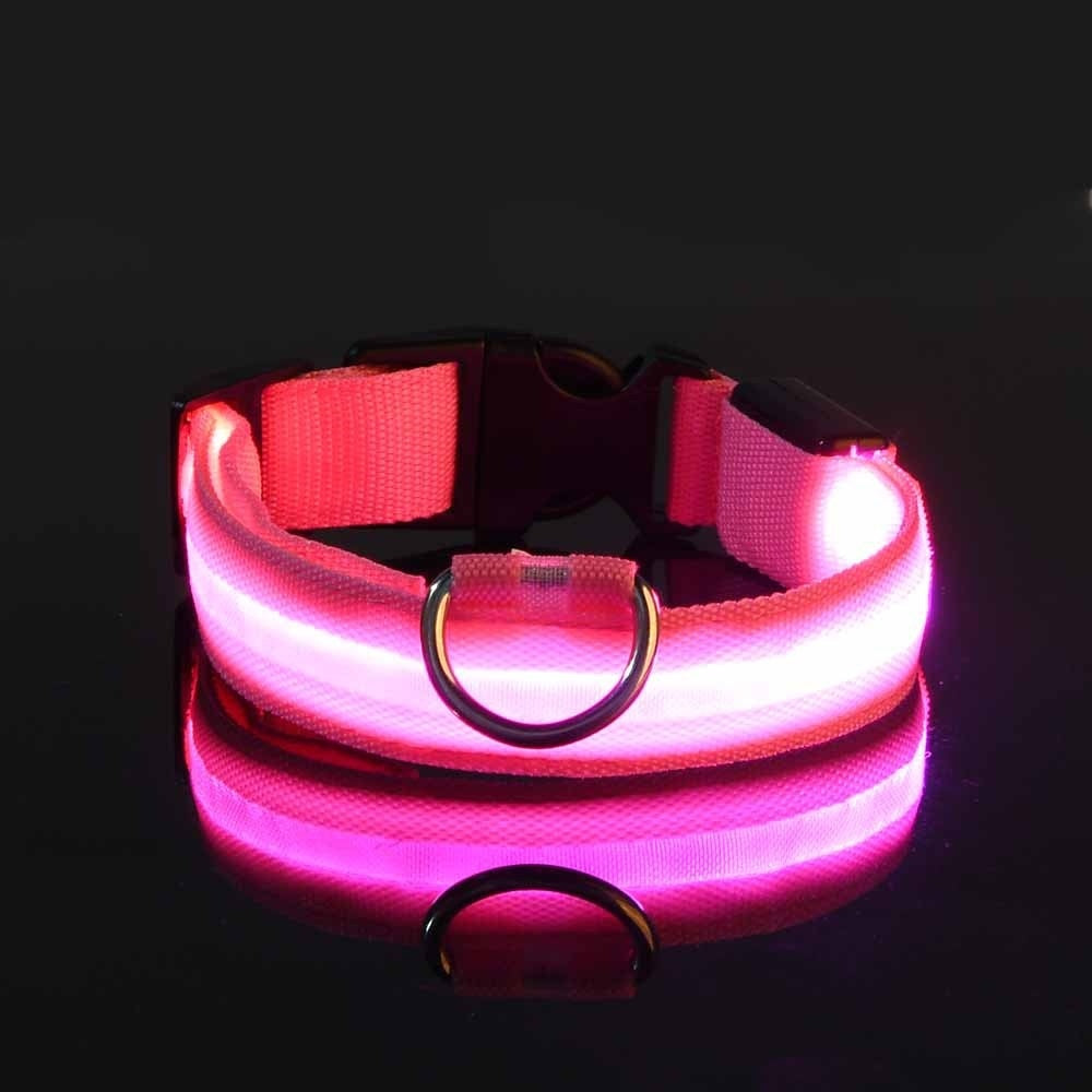 Glow-In-The-Dark Collar LED USB Charging