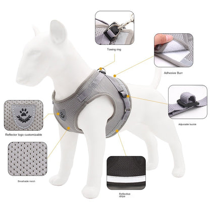 Breathable Harness and Leash Combo for Dogs