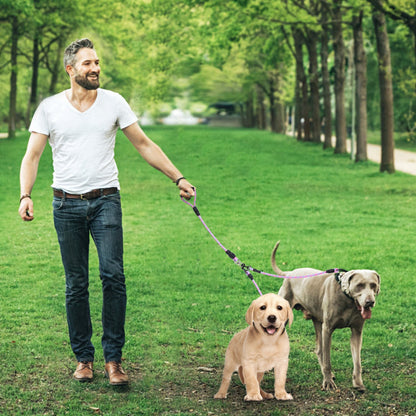 Double Dog Reflective Leash and Lead Combo