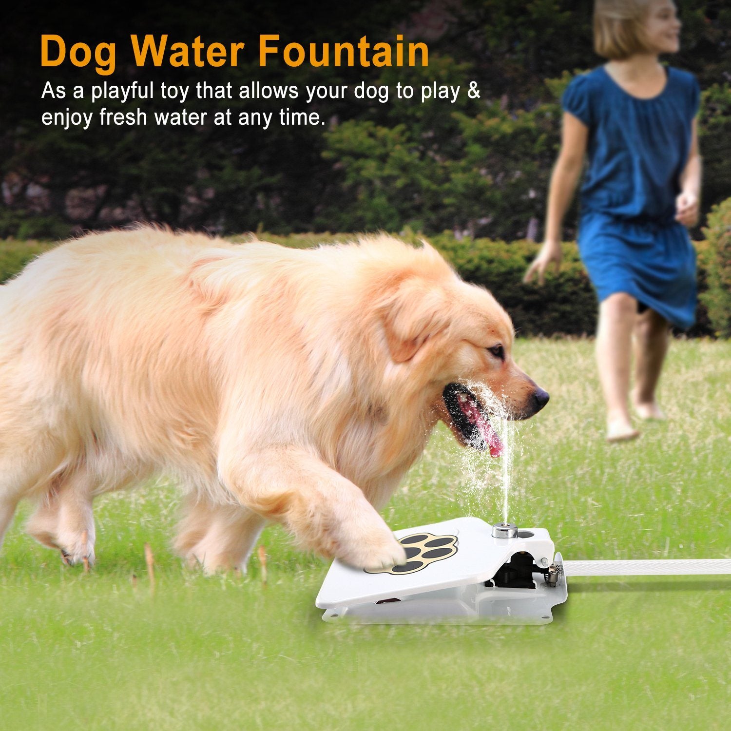 Outdoor Dog Water Sprinkler with Paw Control