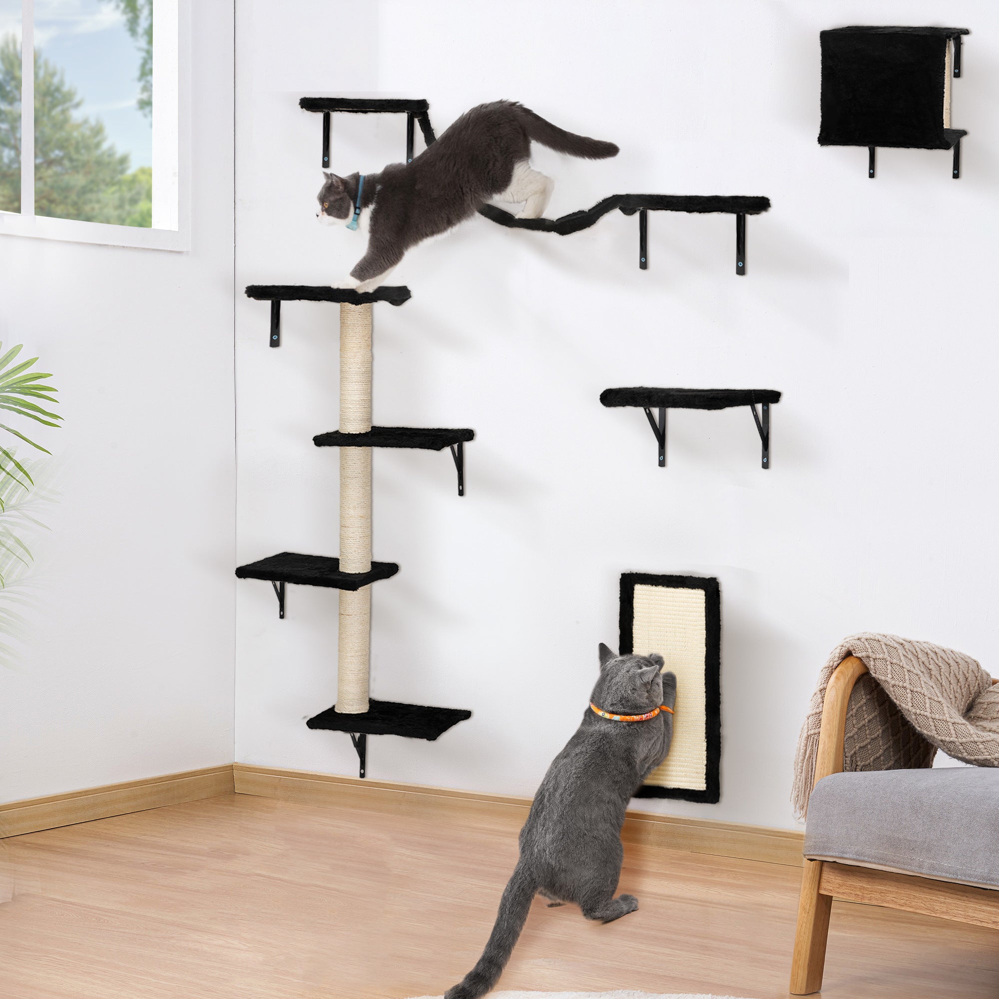 Wall Mounted Activity Tree with Scratching Post for Cats