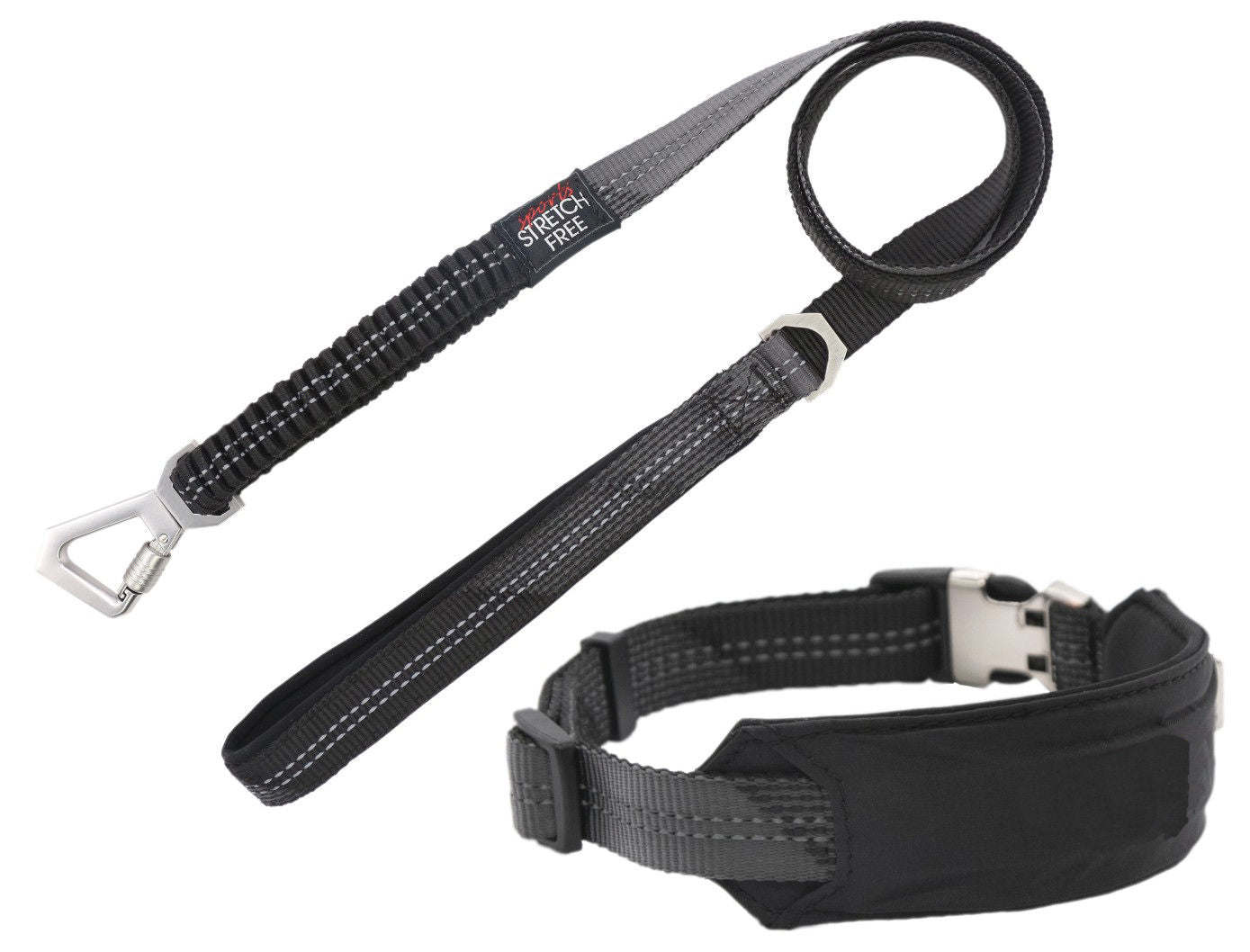 Shock Absorbing Dog Leash and Collar Set