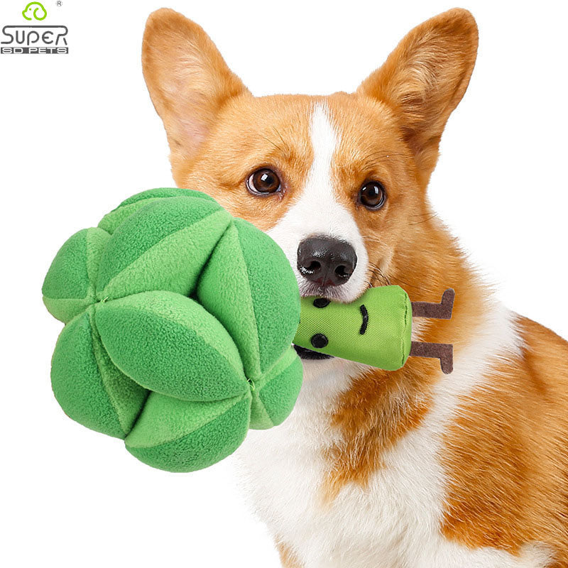 Broccoli Snuffle Training Toy for Dogs and Cats