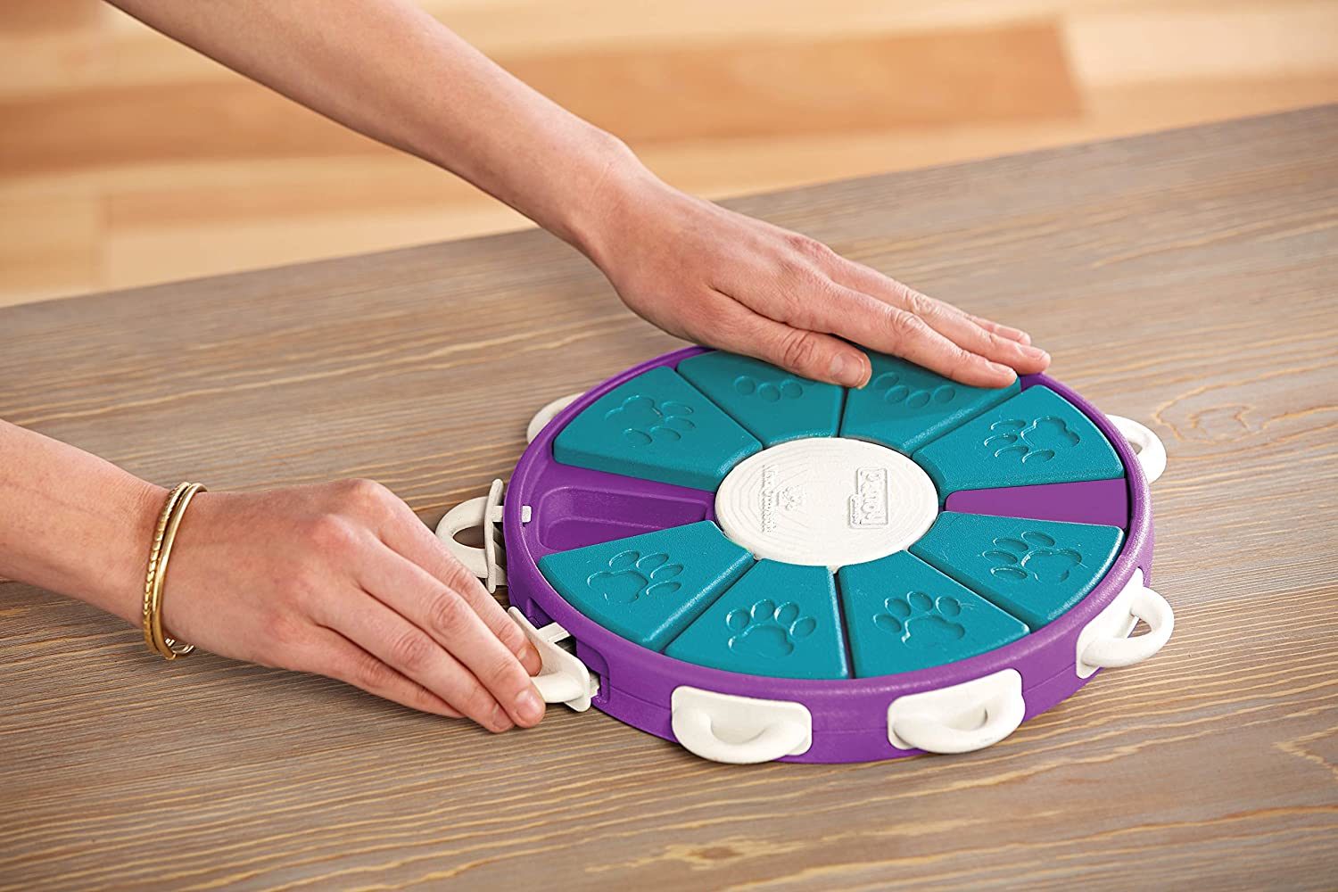 Smart Dog Interactive Training Treat Puzzle