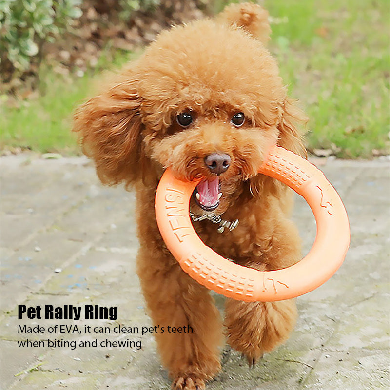 Floating Interactive Ring Training Toy for Dogs