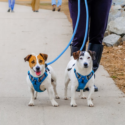 3 Dog Walking and Training Detachable Leash