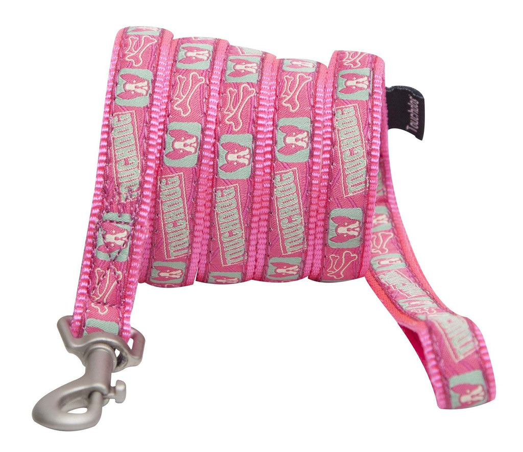 Embroidered Fashion Dog Leash And Collar Combination