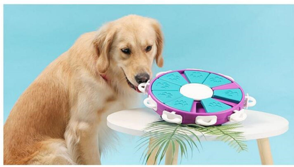 Smart Dog Interactive Training Treat Puzzle