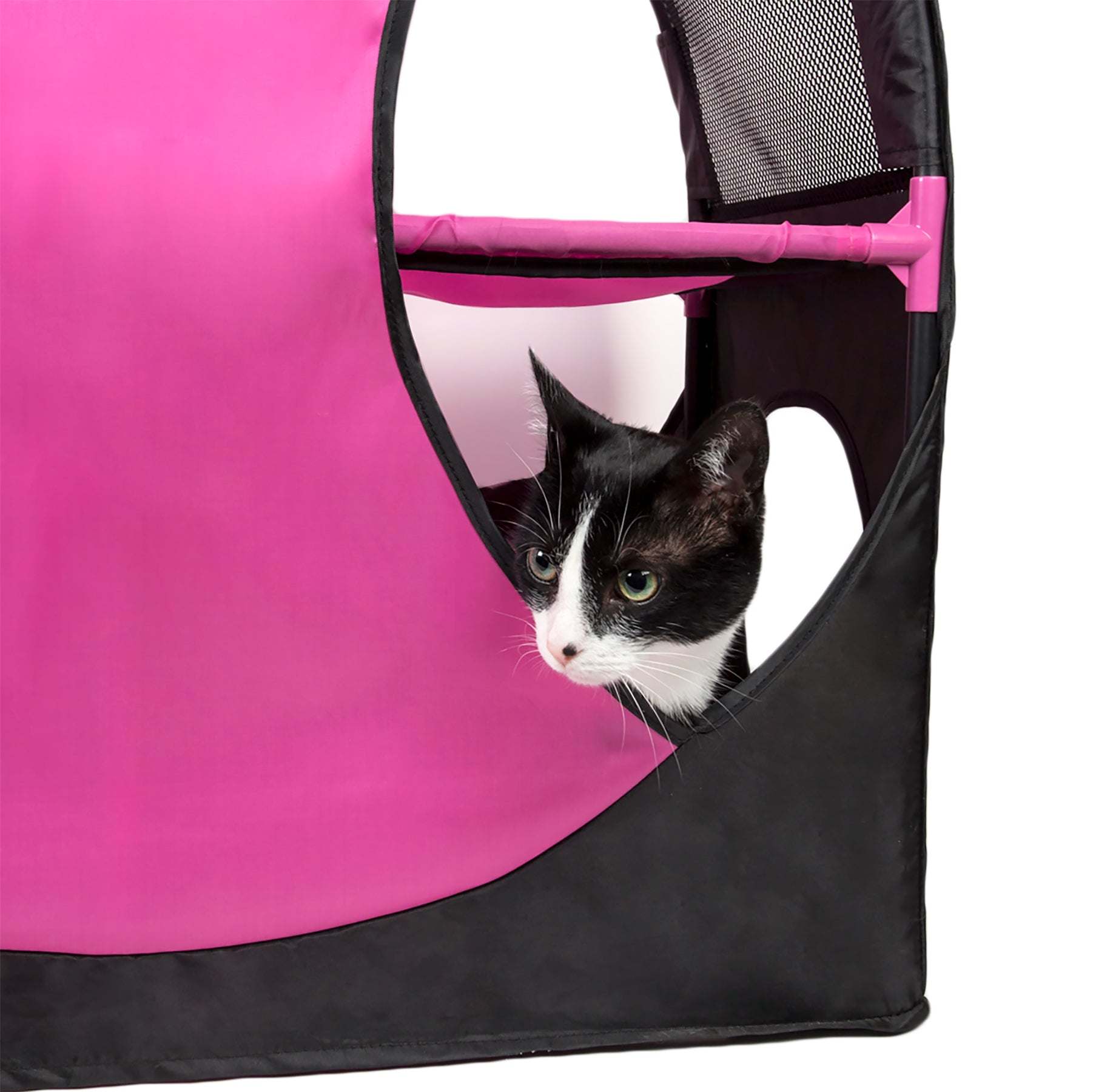 Pet Life - Kitty-Play Collapsible Cat Playhouse