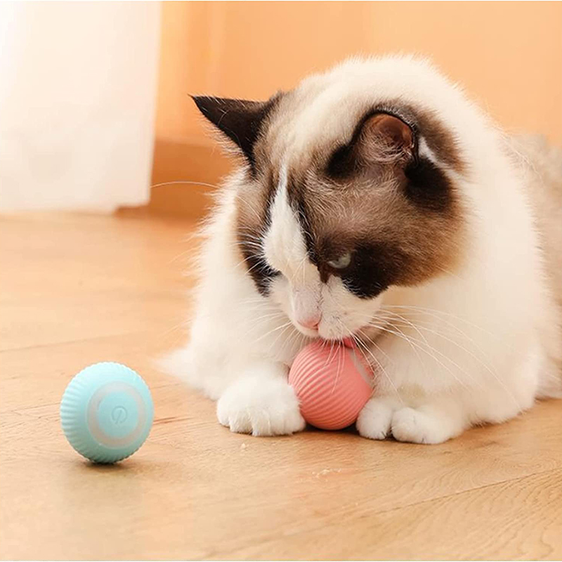 Rolling Ball Toy For Small Dogs and Cats