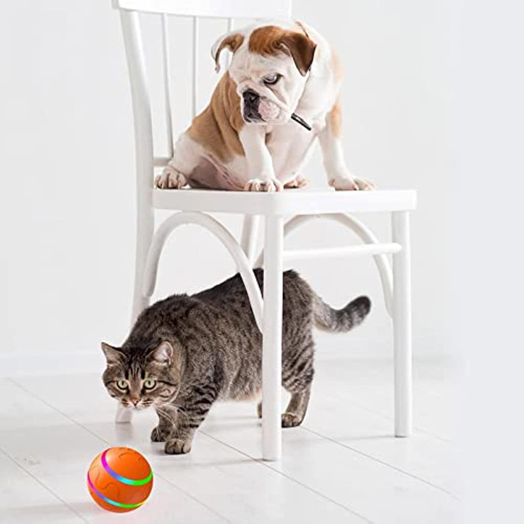 Interactive Rolling Ball for Dogs and Cats