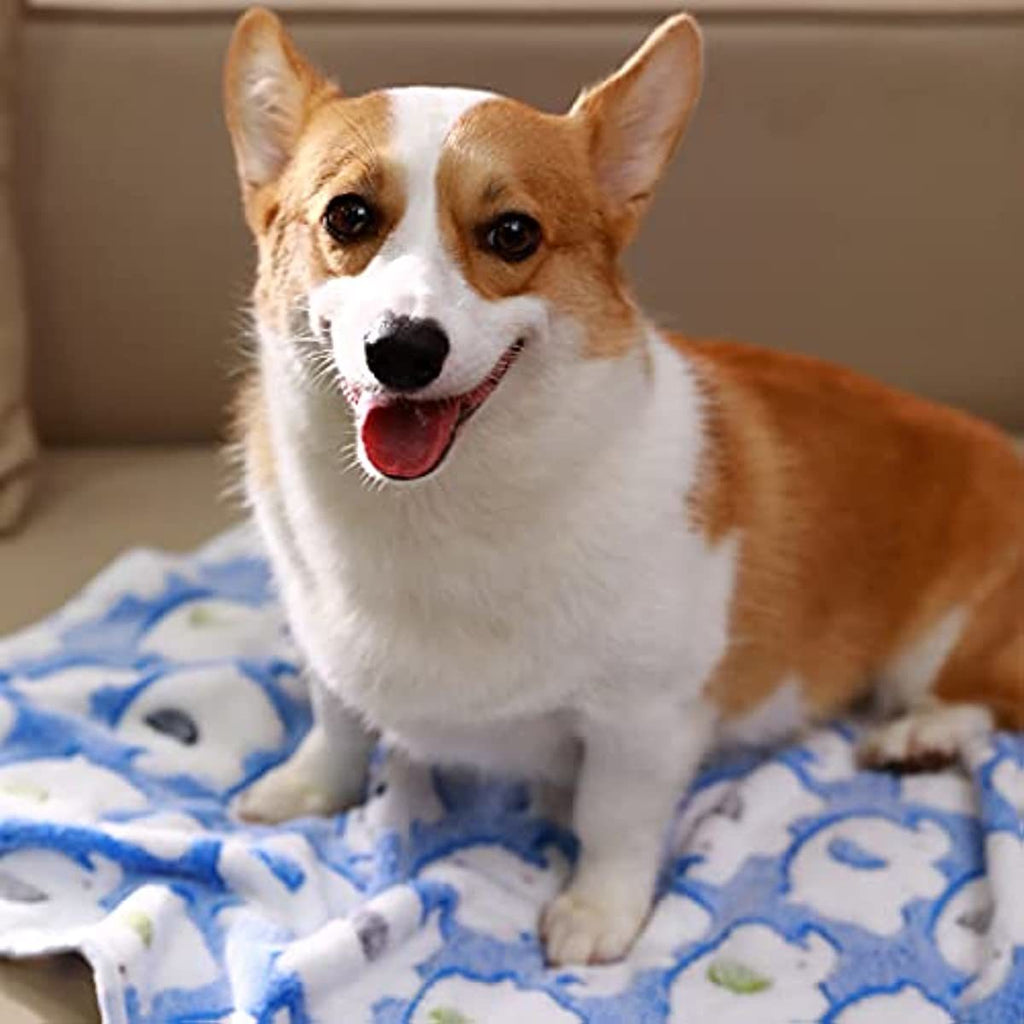 Soft and Fluffy Dog and Cat Blankets - 2 pack