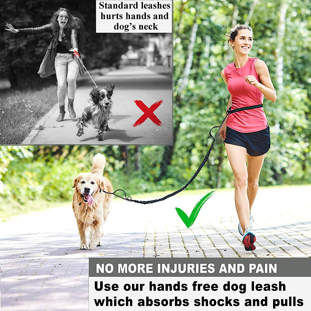 Waist Band with Bungee Hands Free Dog Leash