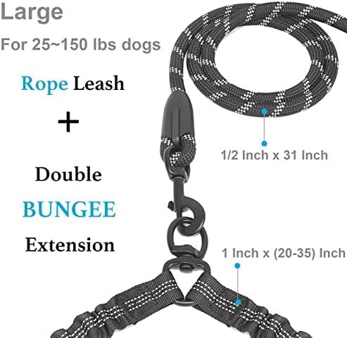 Double Dog Leash No Tangle Absorbing Bungee for Two Dogs