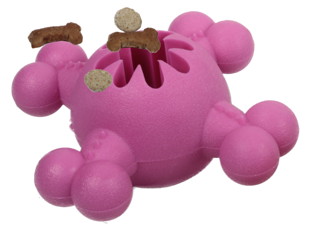 Pet Life Quadra-Bone Dog Chew Toy Treat Dispenser