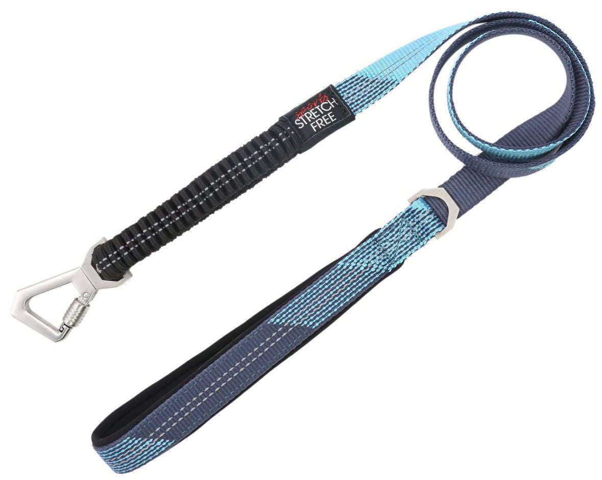 Shock Absorbing Dog Leash and Collar Set