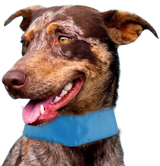 Pet Life - Summer-Cooling Adjustable Ice Pack Neck Wrap for Dogs