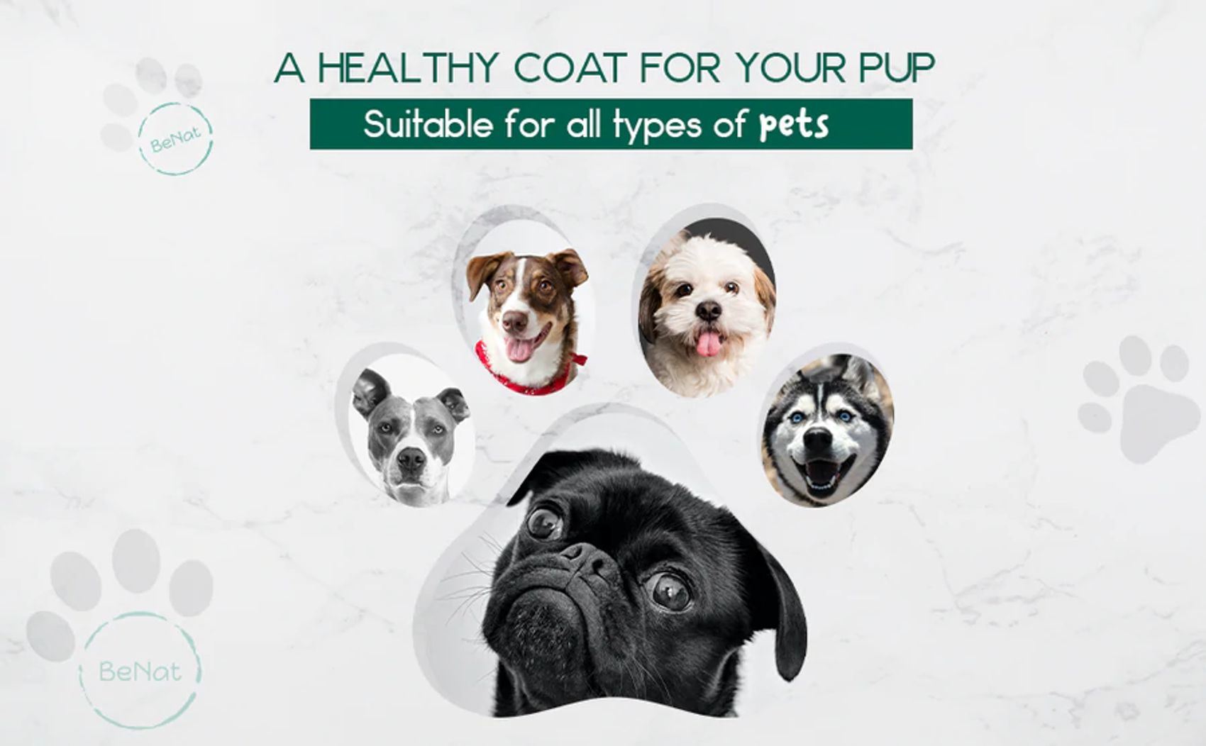 BeNat Pets 3-Pack Pet Grooming Bundle for Dogs