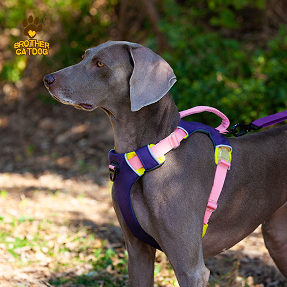 Explosion-Proof Dog Chest Harness with Leash