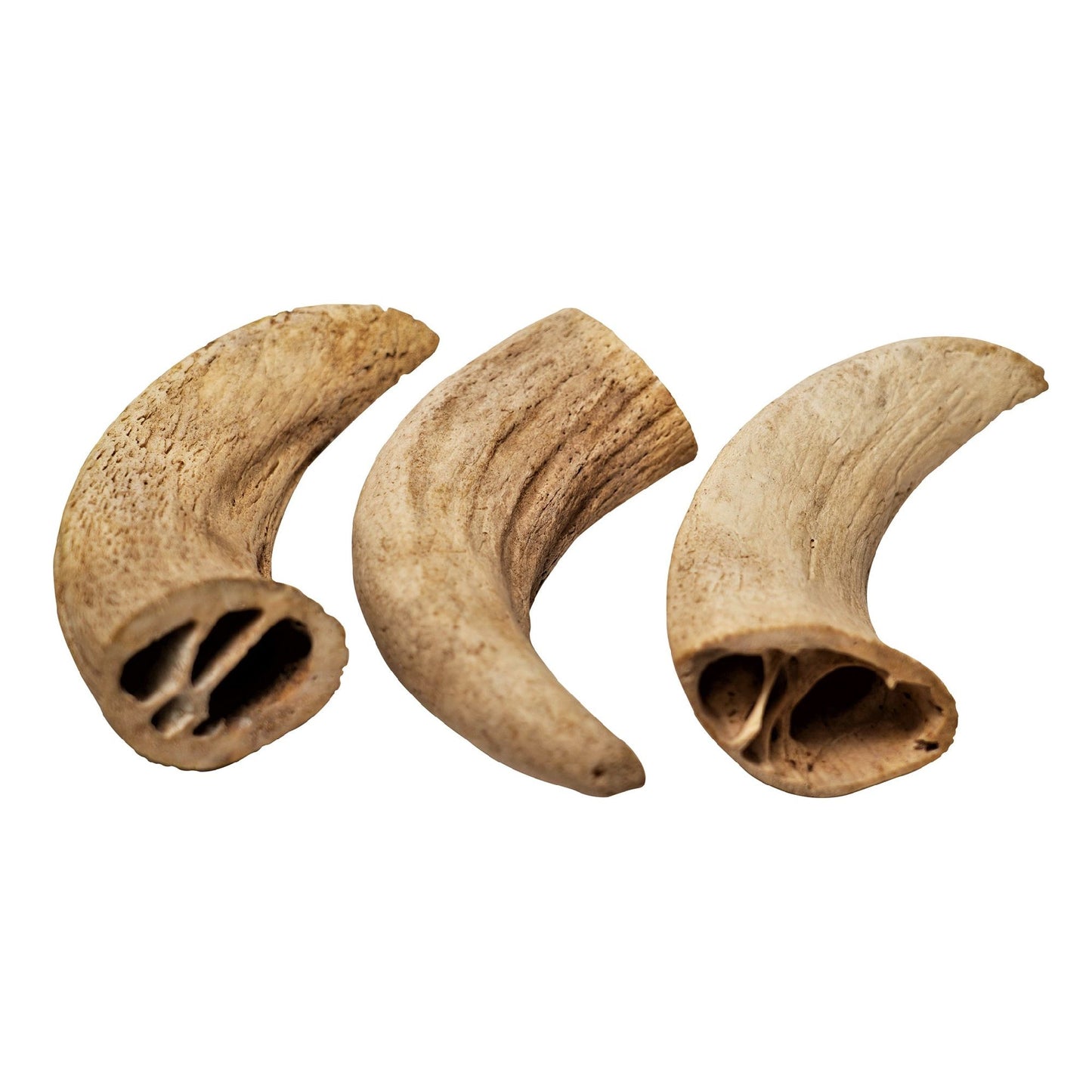 100% Natural Water Buffalo Horn Inner Core Dog Chew