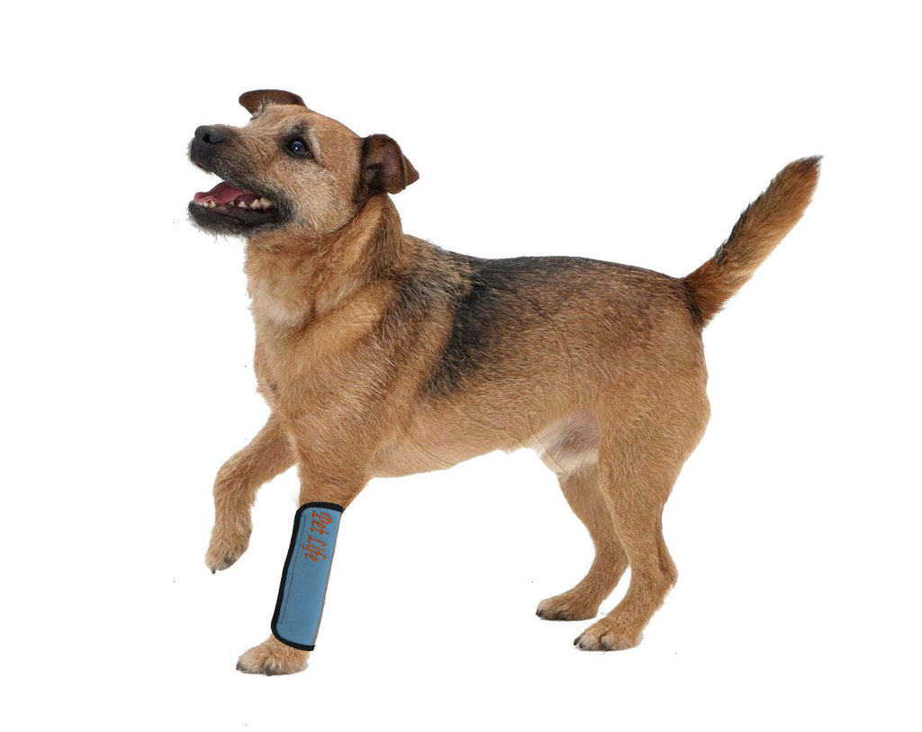Extreme-Neoprene Protective Joint Sleeves for Dogs - Blue