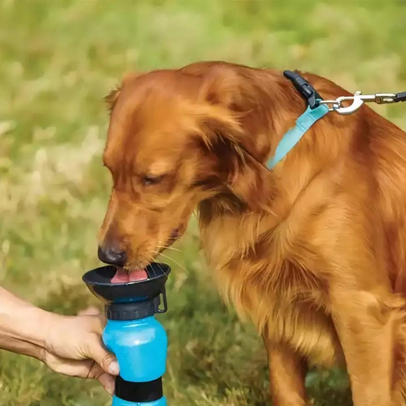 Dog Water Bottle, Mug Holds 500ml For Travel