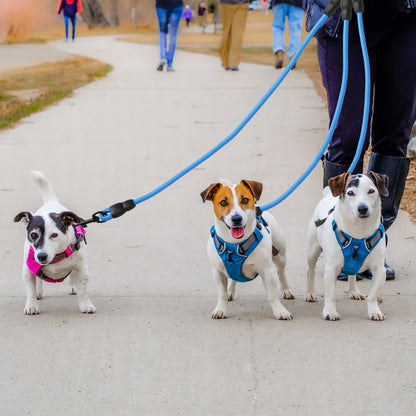 3 Dog Walking and Training Detachable Leash