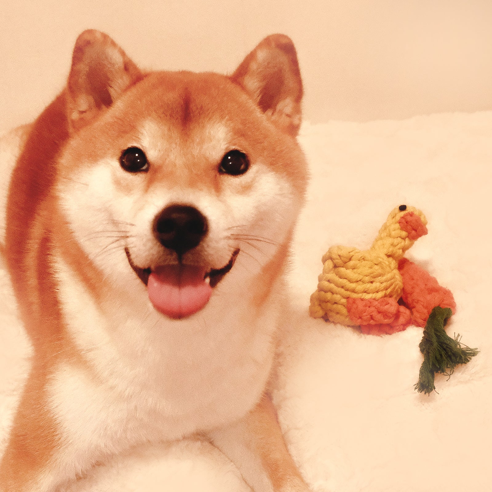 Cotton Dog Rope Toys - Carrot and Duck Shapes