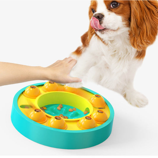 Dog Puzzle Slow Feeder Training Toy Game