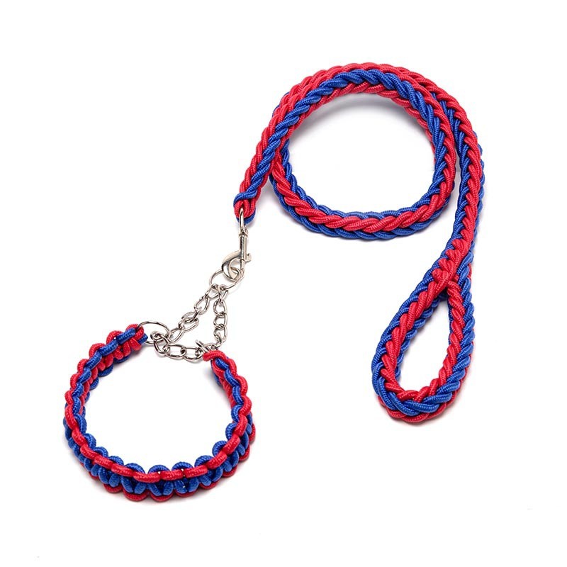 Eight-Strand Braided Collar Leash with Impact Chain for Dogs