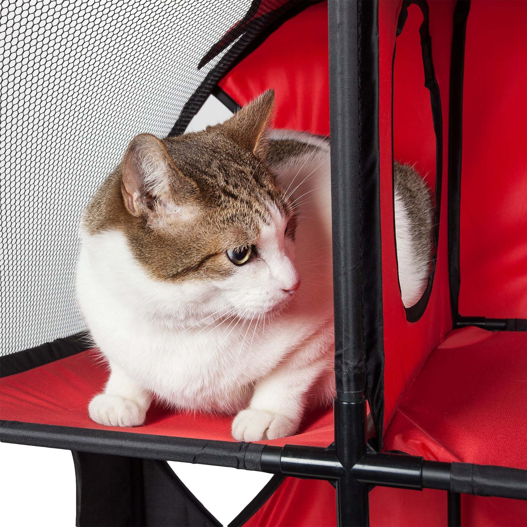 Pet Life - Kitty-Play Collapsible Cat Playhouse