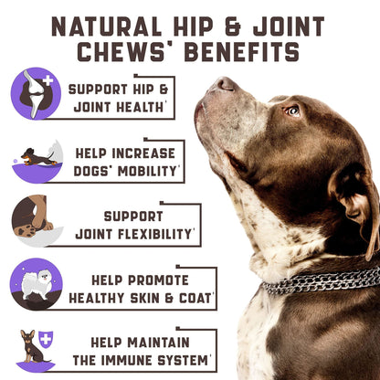 Kinpur - Glucosamine Hemp Oil for Hip and Joint Health - Duck