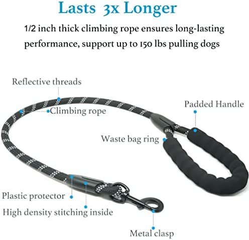 Double Dog Leash No Tangle Absorbing Bungee for Two Dogs