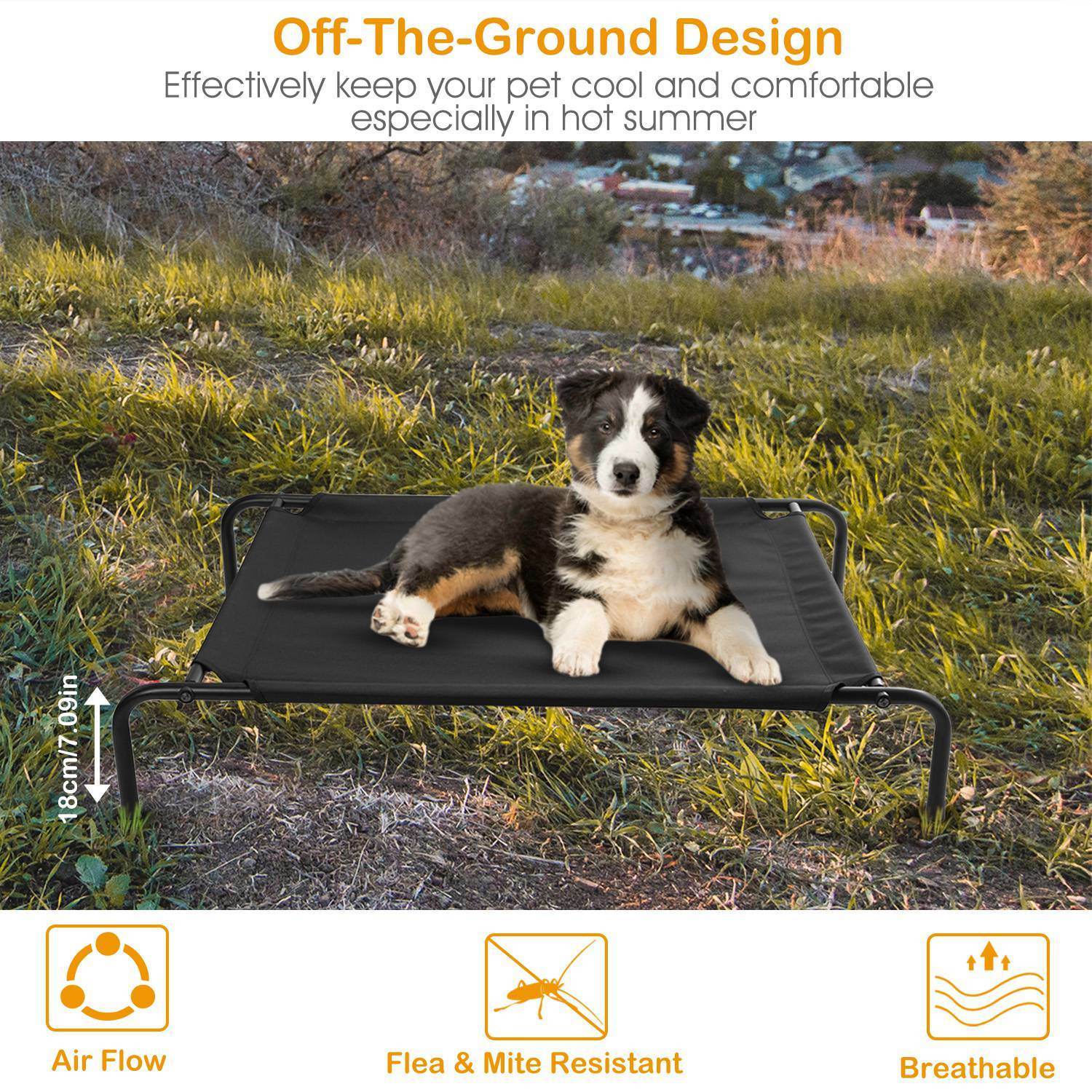 Elevated Platform Bed for Dogs and Cats - Large