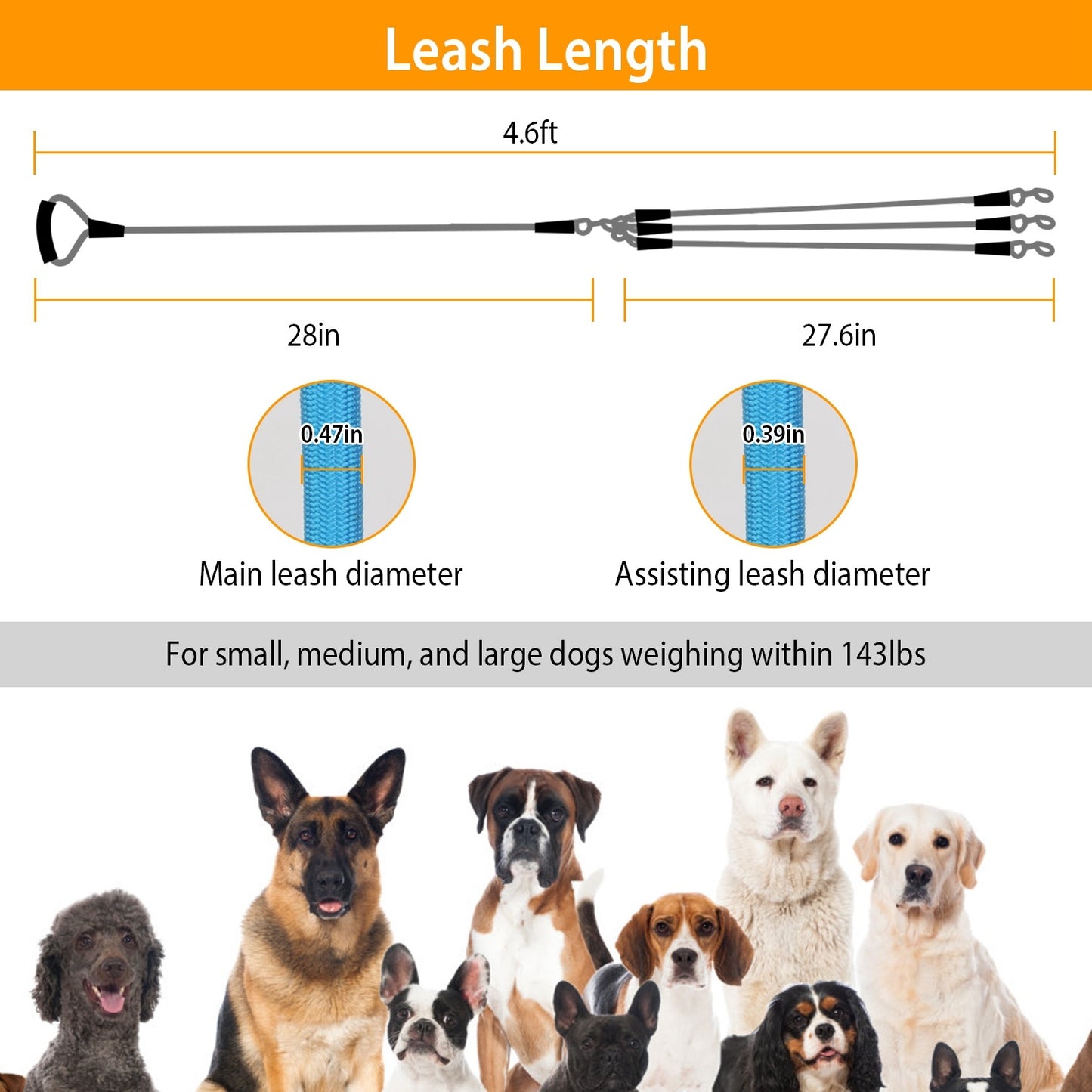 3 Dog Walking and Training Detachable Leash