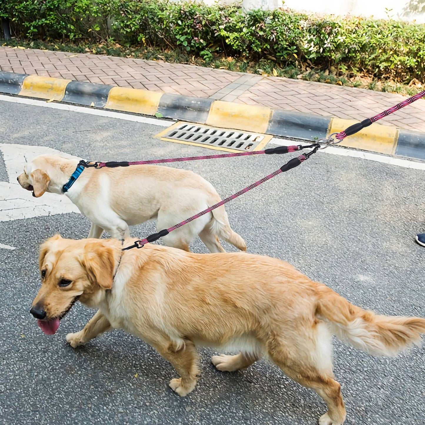 Double Dog Reflective Leash and Lead Combo