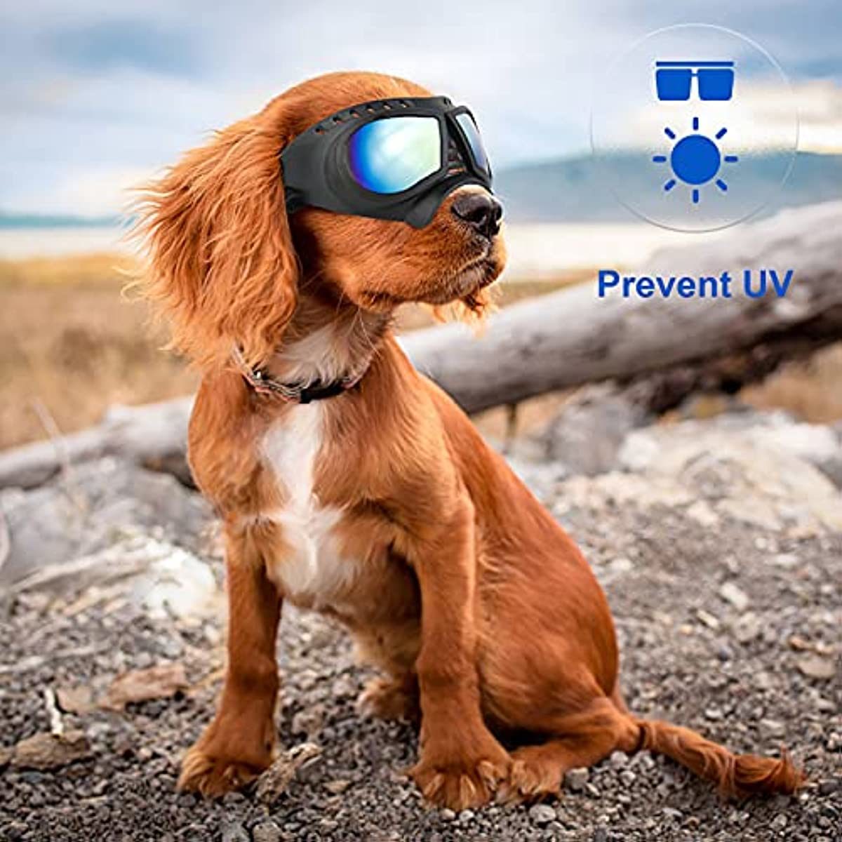 UV Protective Sunglasses for All Breed of Dogs