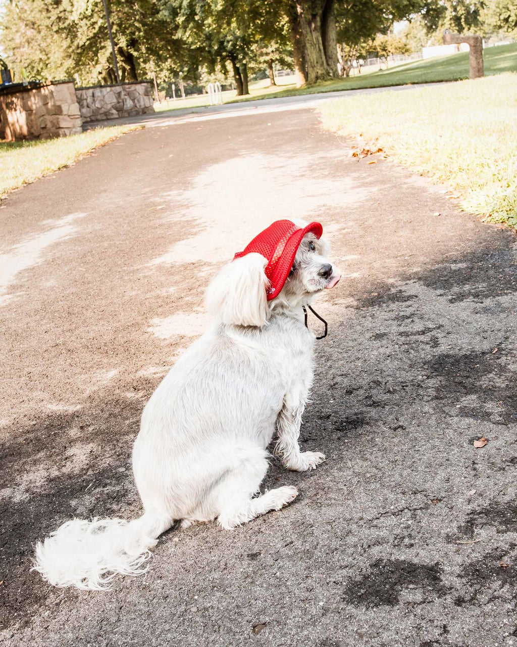 Pet Life Uv Protecting Adjustable Dog Hat