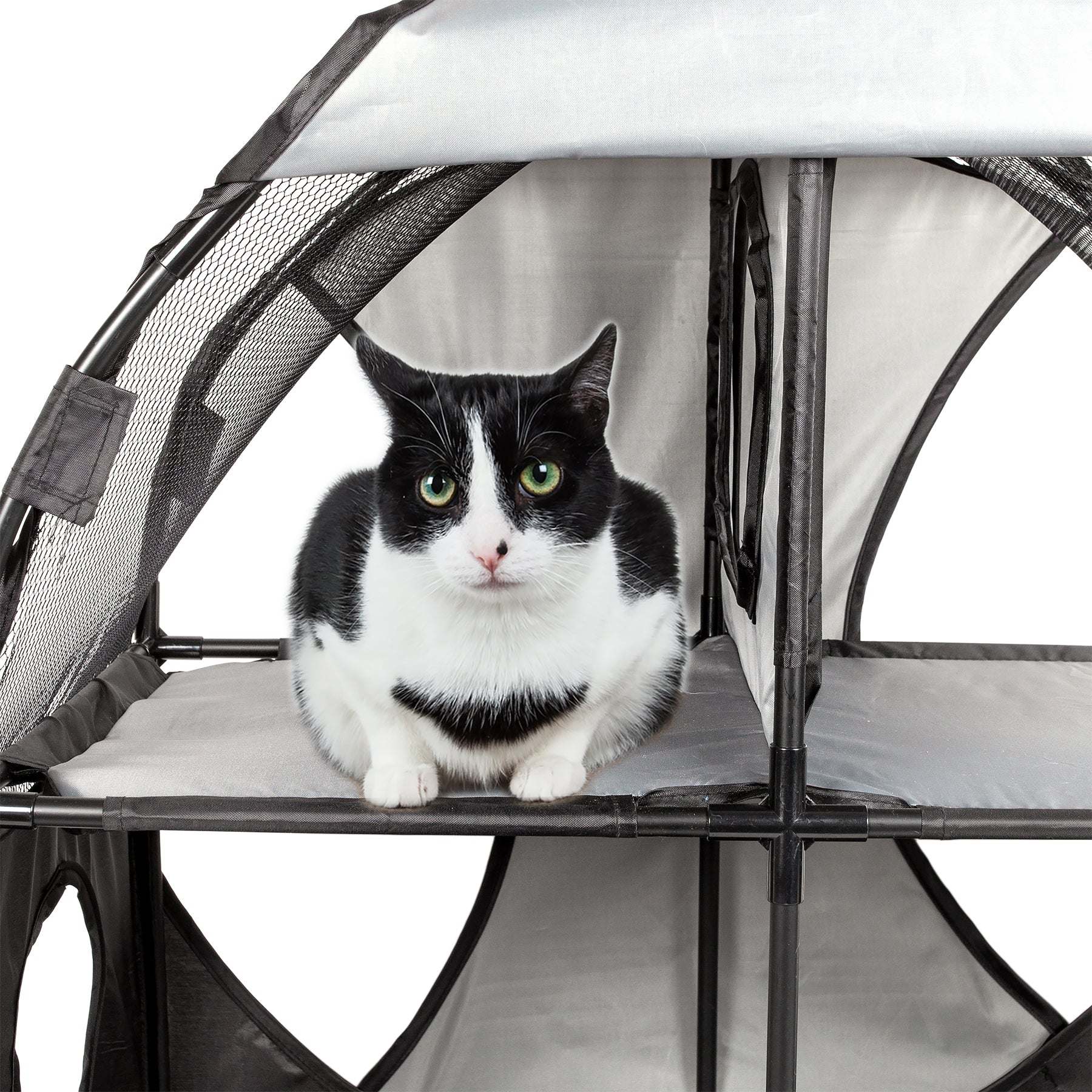 Pet Life - Kitty-Play Collapsible Cat Playhouse