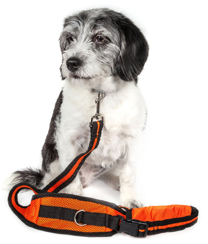 Pet Life -Echelon- Hands Free 2-In-1 Training Leash for Dogs