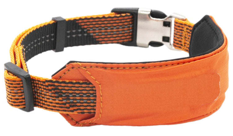 Shock Absorbing Dog Leash and Collar Set