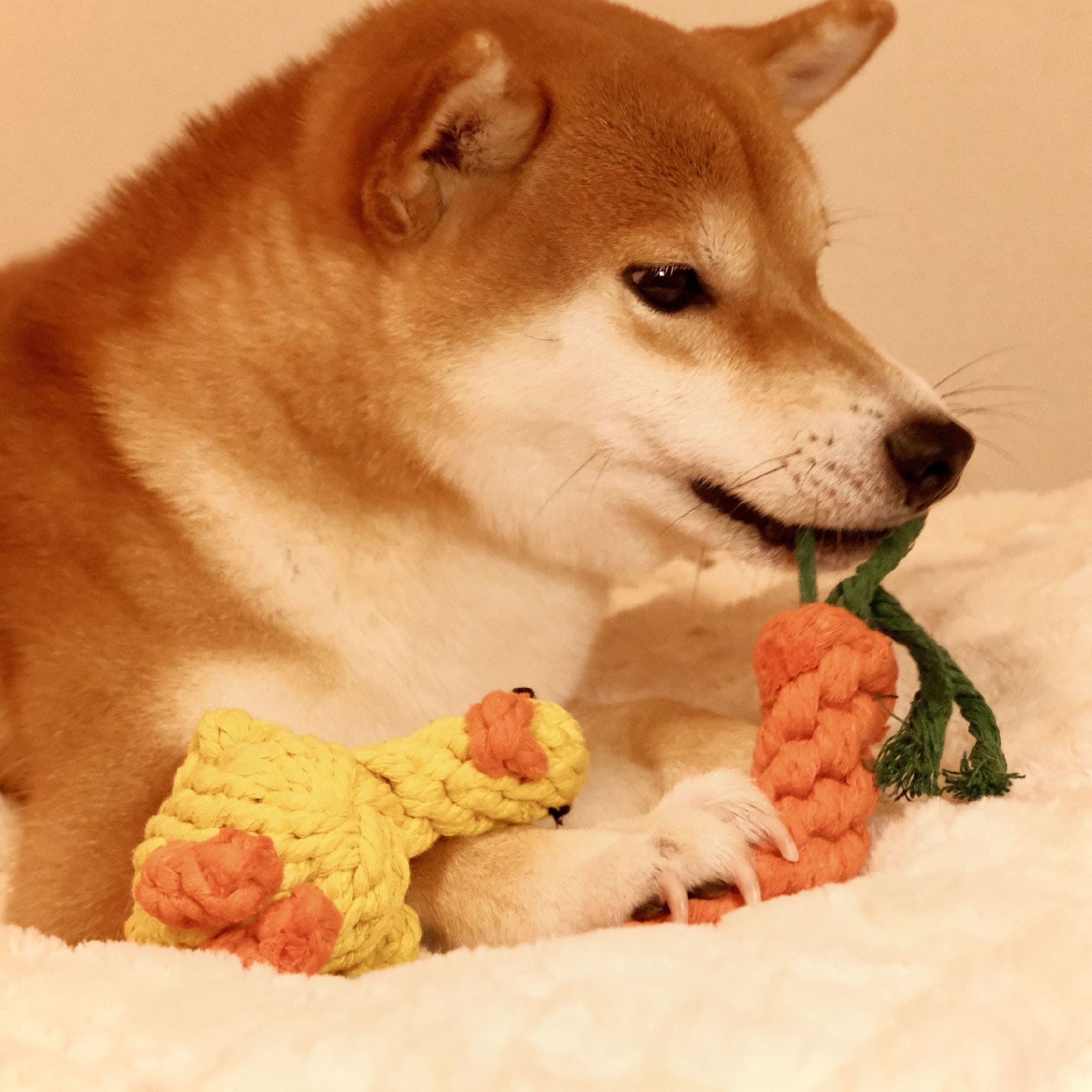 Cotton Dog Rope Toys - Carrot and Duck Shapes