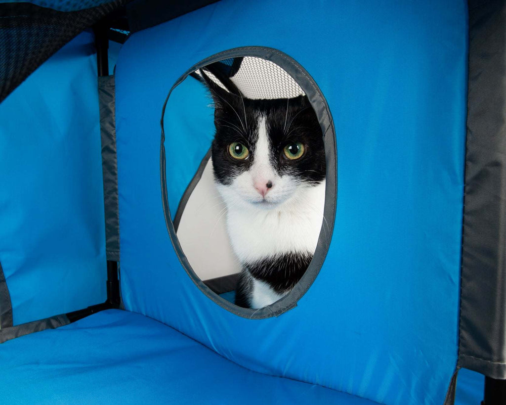 Pet Life - Kitty-Play Collapsible Cat Playhouse