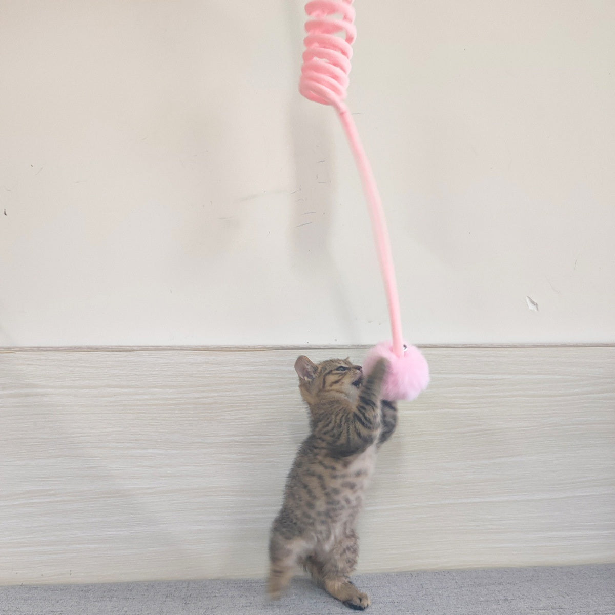 Bungee Rope with Ball and Bell Cat Toy