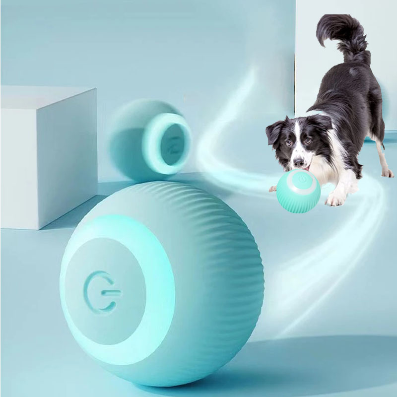 Rolling Ball Toy For Small Dogs and Cats