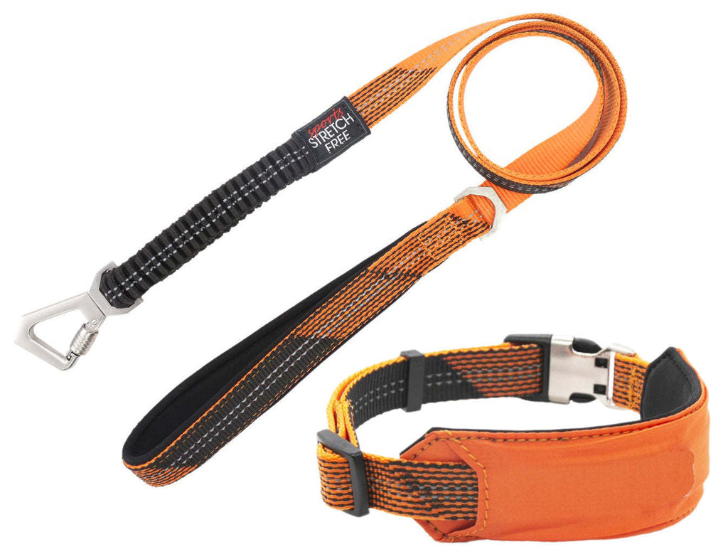 Shock Absorbing Dog Leash and Collar Set