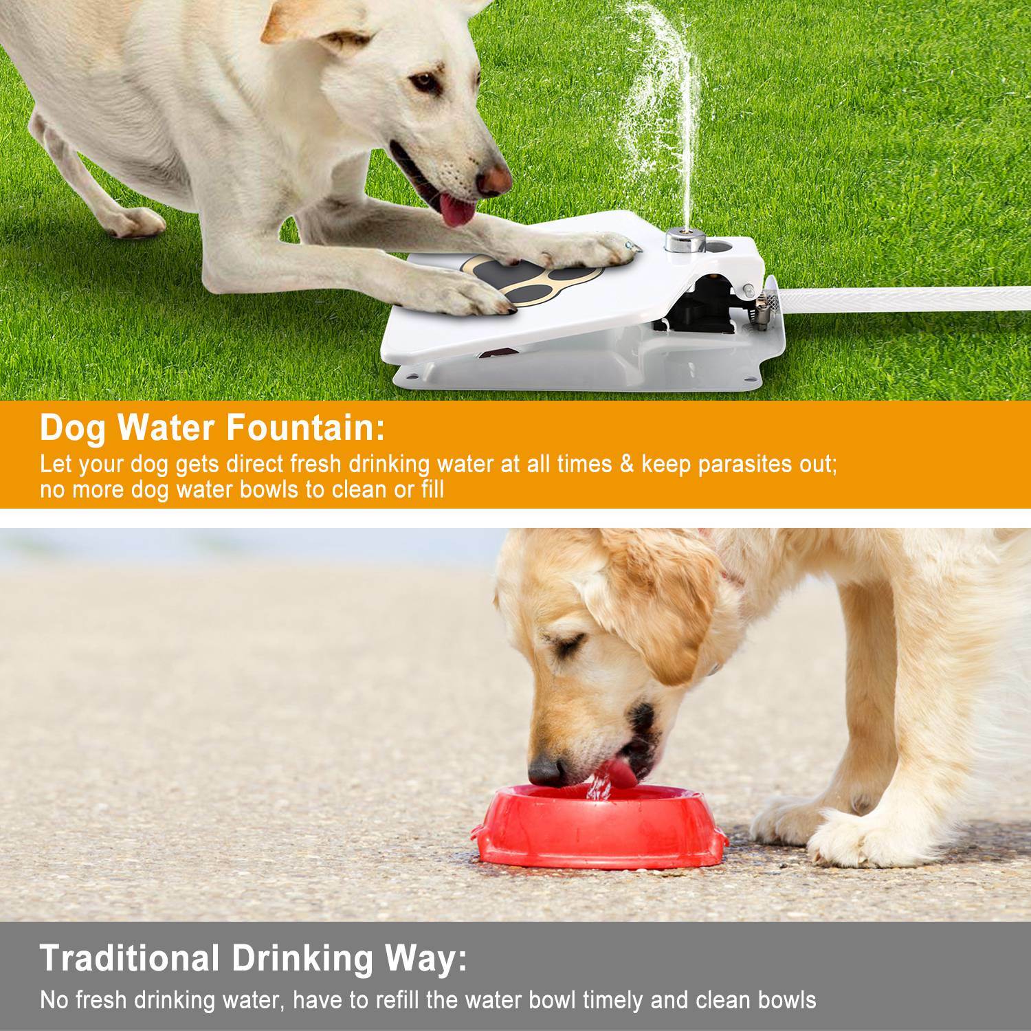 Outdoor Dog Water Sprinkler with Paw Control